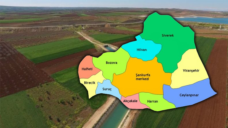 Ülkenin en iyi çiftçileri Şanlıurfa'nın bu ilçesinden çıkıyor!