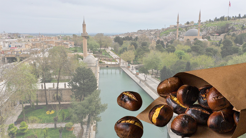 Urfa’da kestane kebap ama yemesi “haram” oldu!