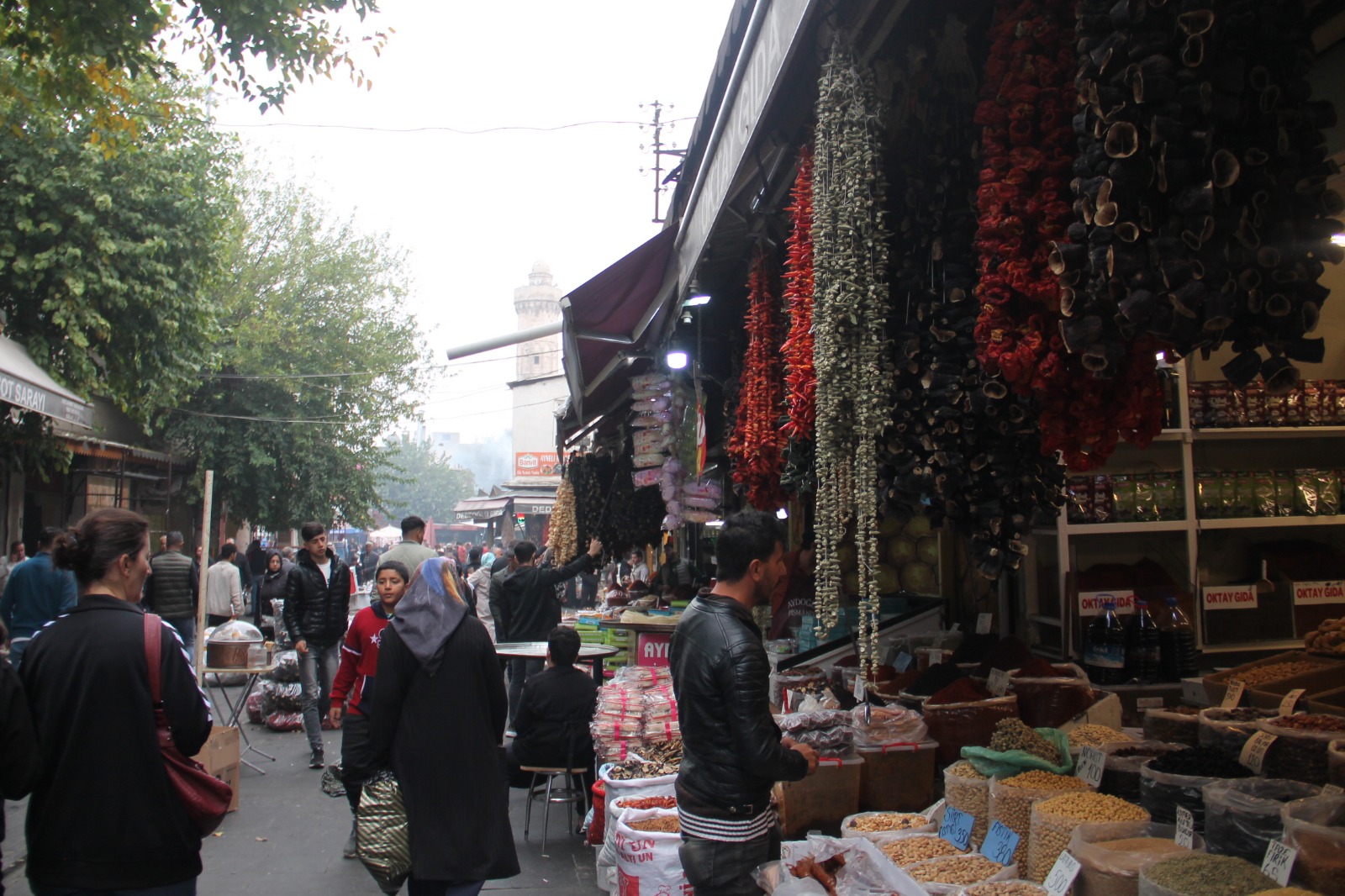 Urfa’da kurutanların başına talih koşu kondu: Kilosu 1000 liraya kadar çıktı