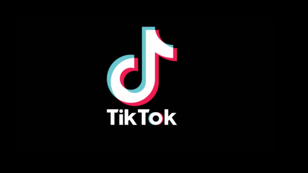 Urfalı TikTok fenomeni terör örgütü üyeliği iddiasıyla gözaltında