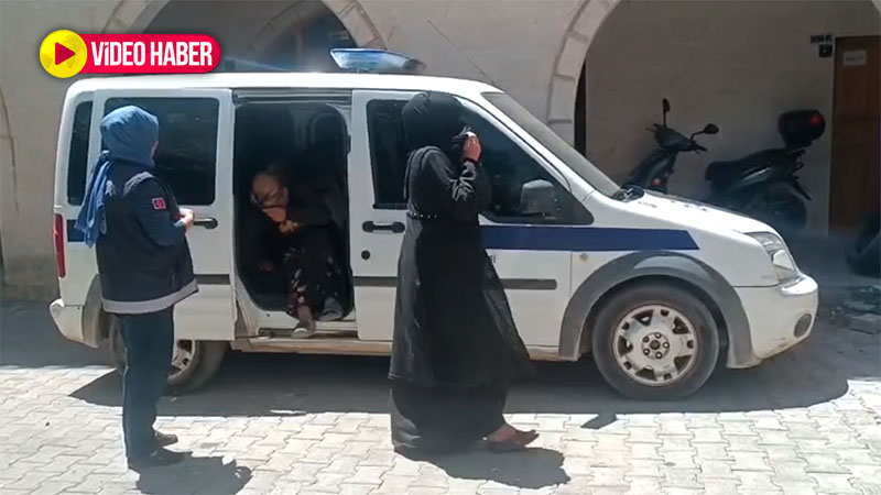 Şanlıurfa’da önüne geçilemeyen ‘meslek’! Zabıta tek tek yakaladı