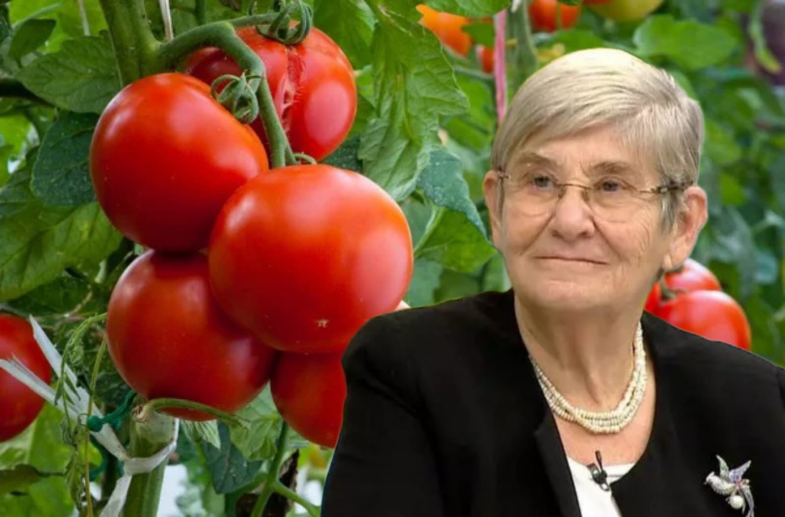 Canan Karatay'dan domates uyarısı! "Böyle görünenleri sakın yemeyin"