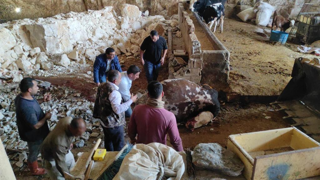 Urfa’da depremde hasar almıştı! Mağaradan düşen dev kaya hayvanları telef etti
