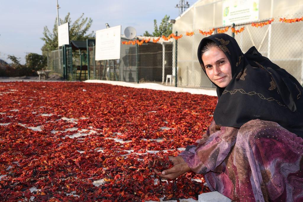 Türkiye'de Şanlıurfa, Şanlıurfa'da o mahalle! Tonlarca üretti, fabrikaları aratmadı