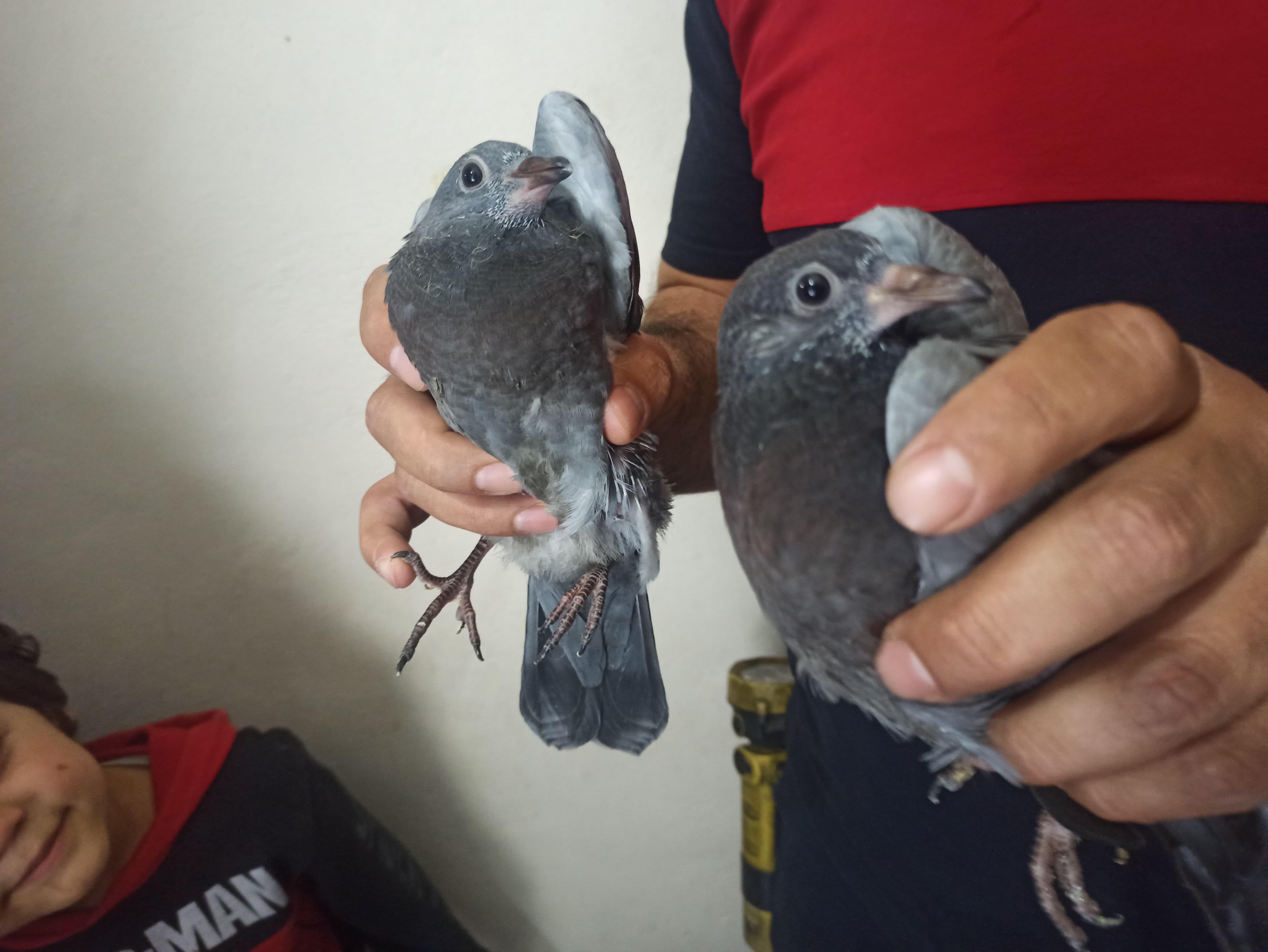 Havalandırma boşluğuna düştüler... İtfaiyeden kurtarma operasyonu