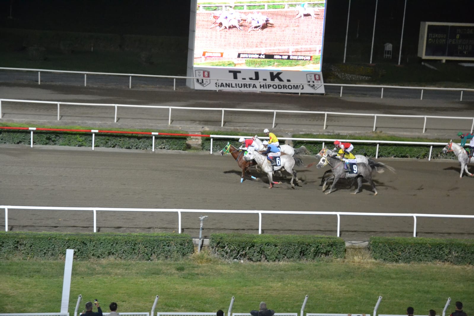 Şanlıurfa’da at yarışlarındaki kriz devam ediyor