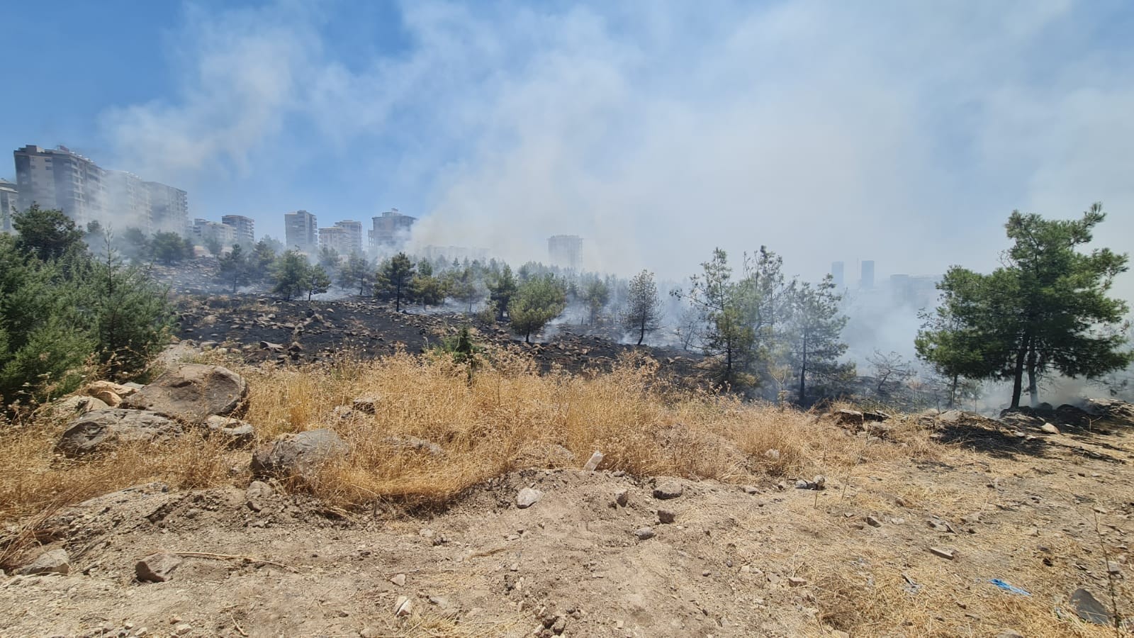 Urfa'da çıkan orman yangını kontrol altına alındı!