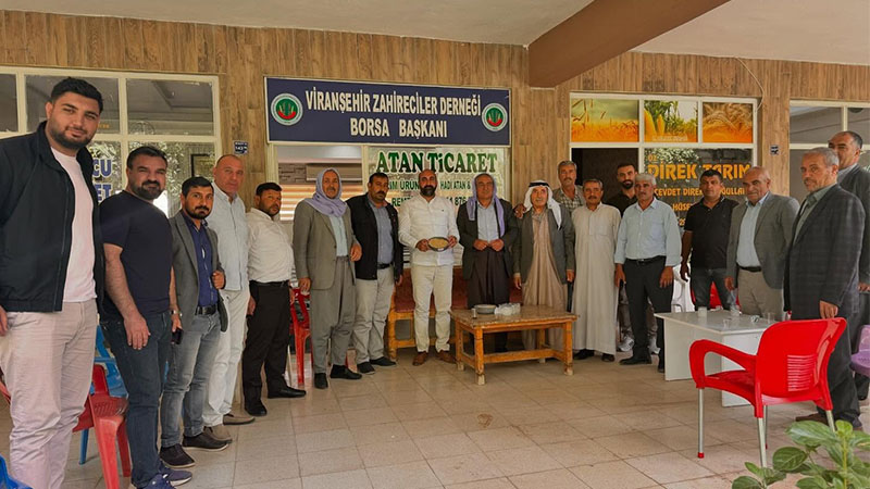 Şanlıurfa’da altın değerinde hasat