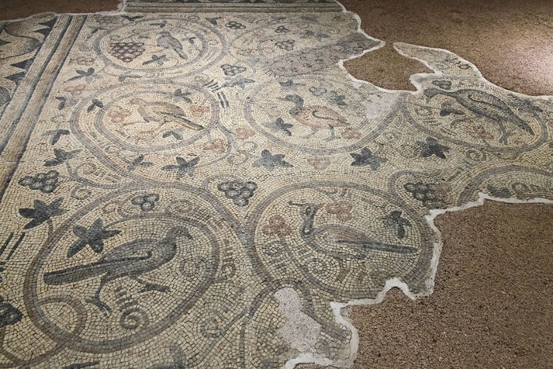 Şanlıurfa’da 1500 yıllık bir hazine daha: Yukarı Göklü Köyü Mozaiği
